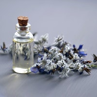 Lavender Oil Picture